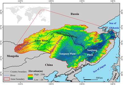 Heterogeneous responses of wetland vegetation to climate change in the Amur River basin characterized by normalized difference vegetation index from 1982 to 2020